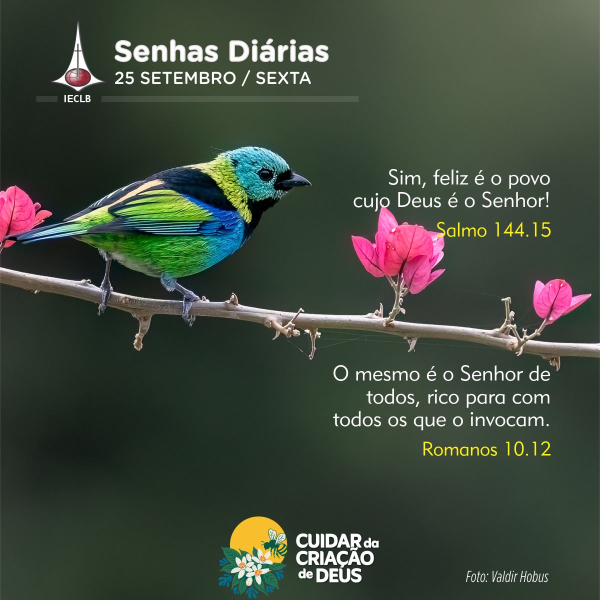 Senhas Diárias 25/09/2026