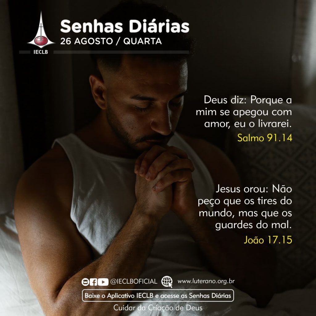 Senhas Diárias 26 08 2026