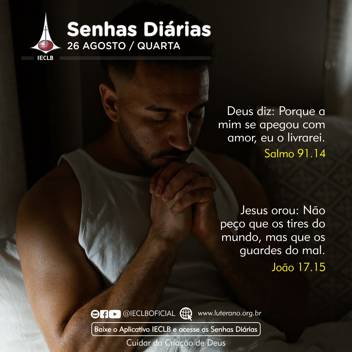Senhas Diárias 26 08 2026