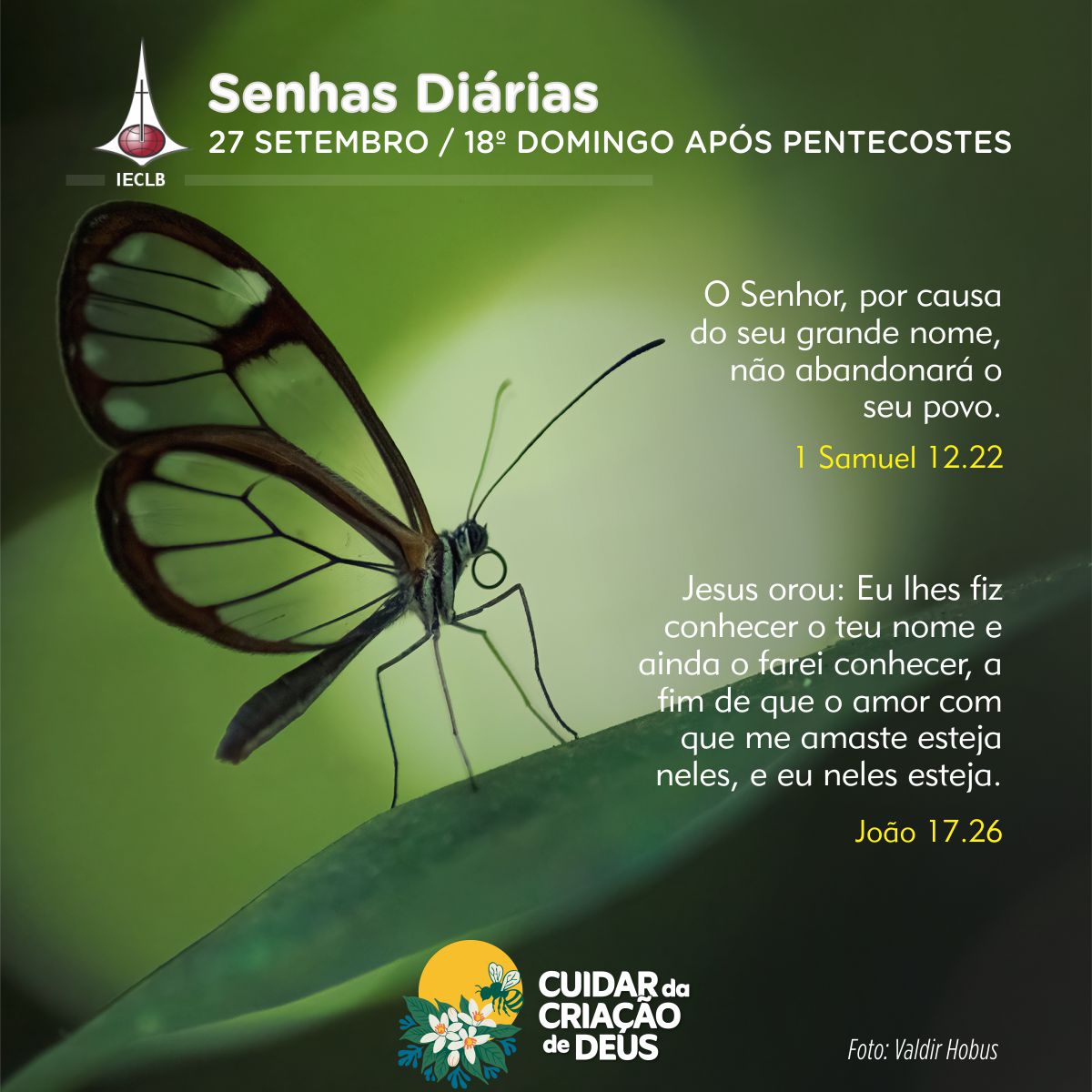 Senhas Diárias 27/09/2026