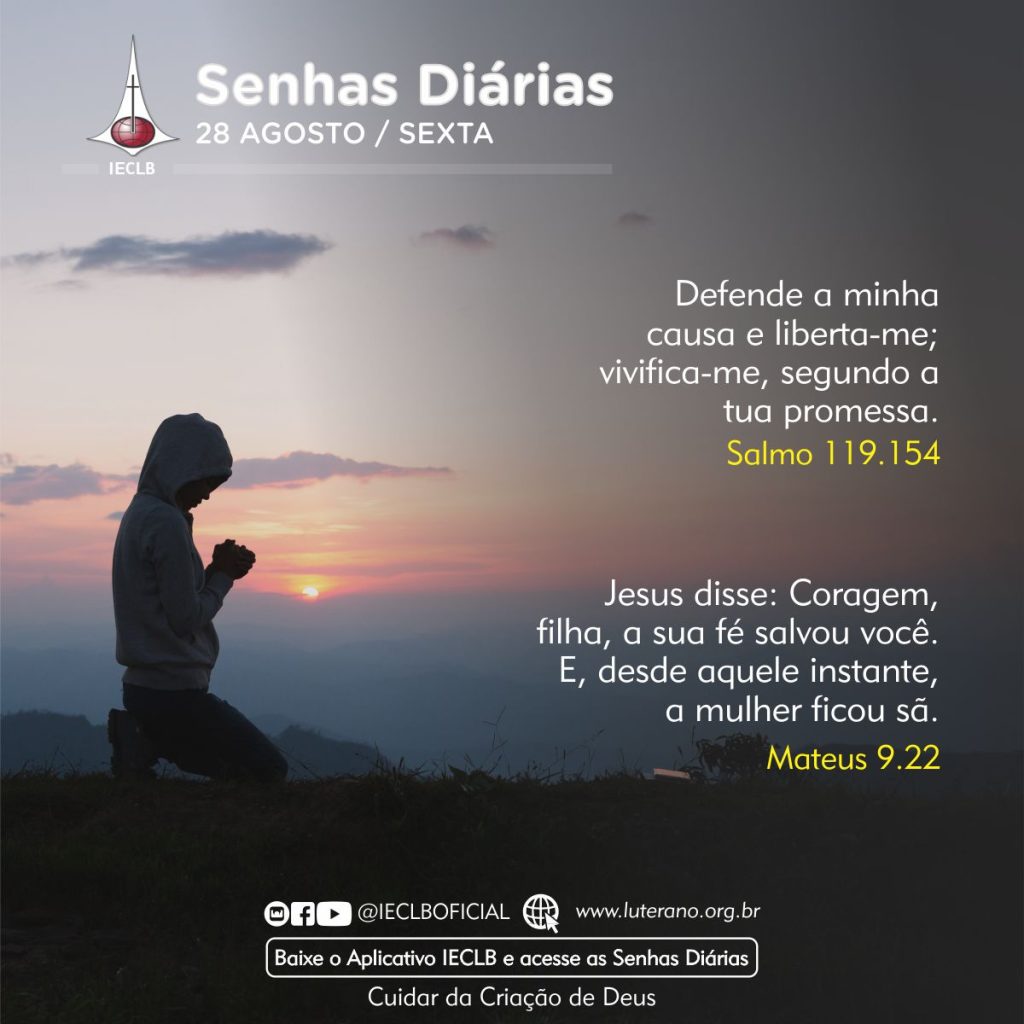 Senhas Diárias 28 08 2026
