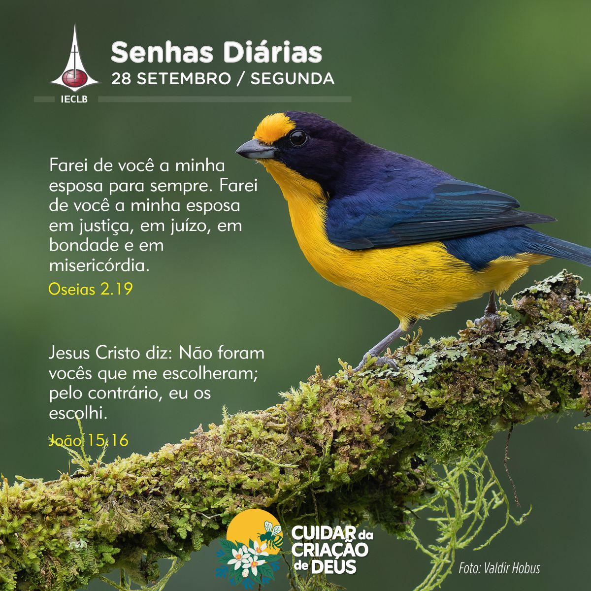 Senhas Diárias 28/09/2026