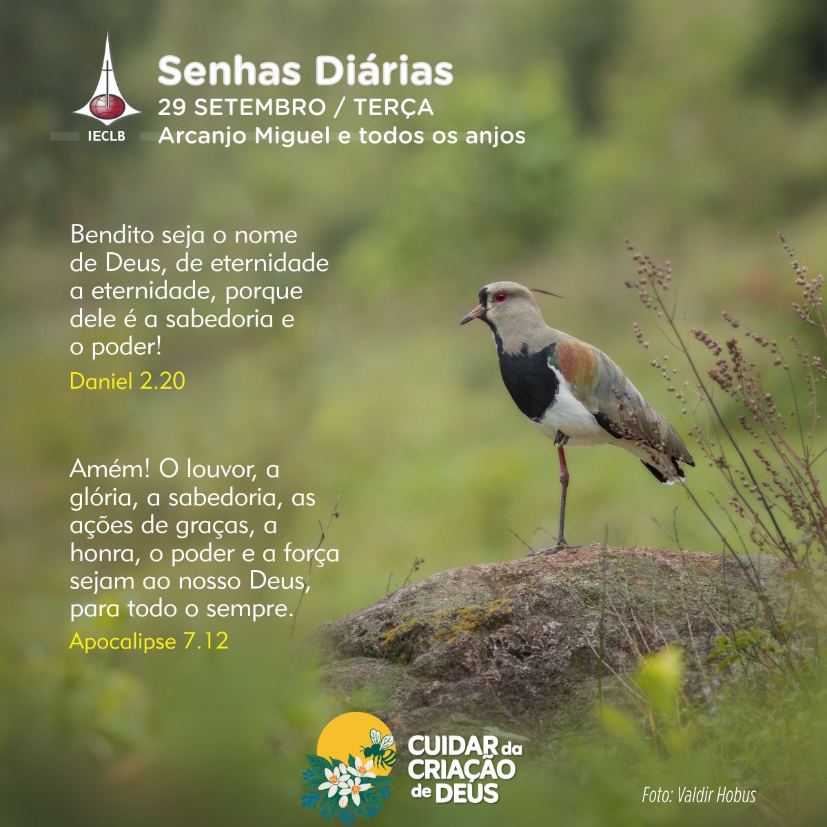 Senhas Diárias 29/09/2026