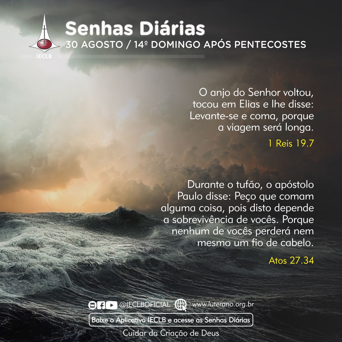 Senhas Diárias 30 08 2026