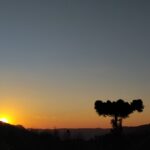 Foto meditação tempo de renovar e florescer