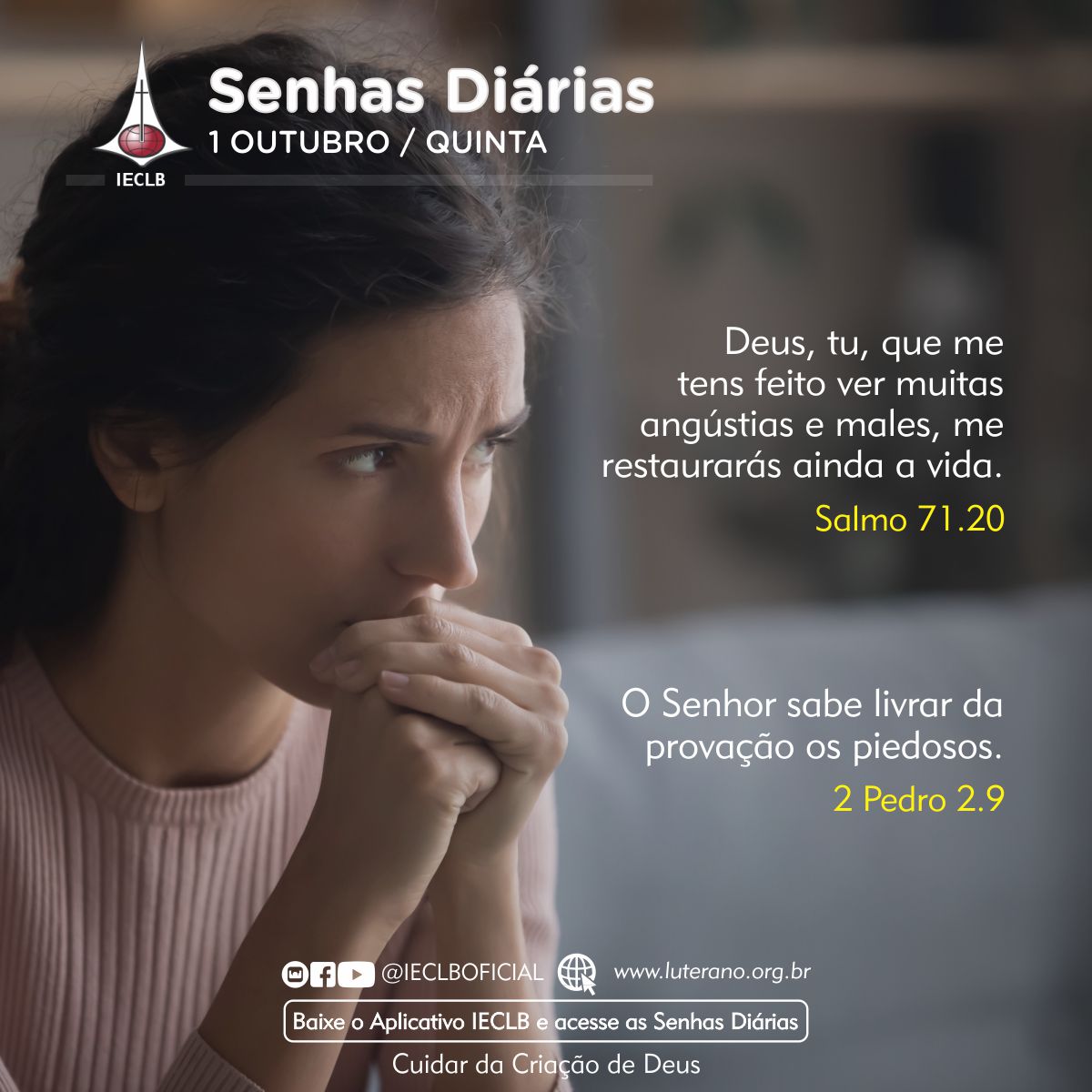 Senhas Diárias 01 10 2026