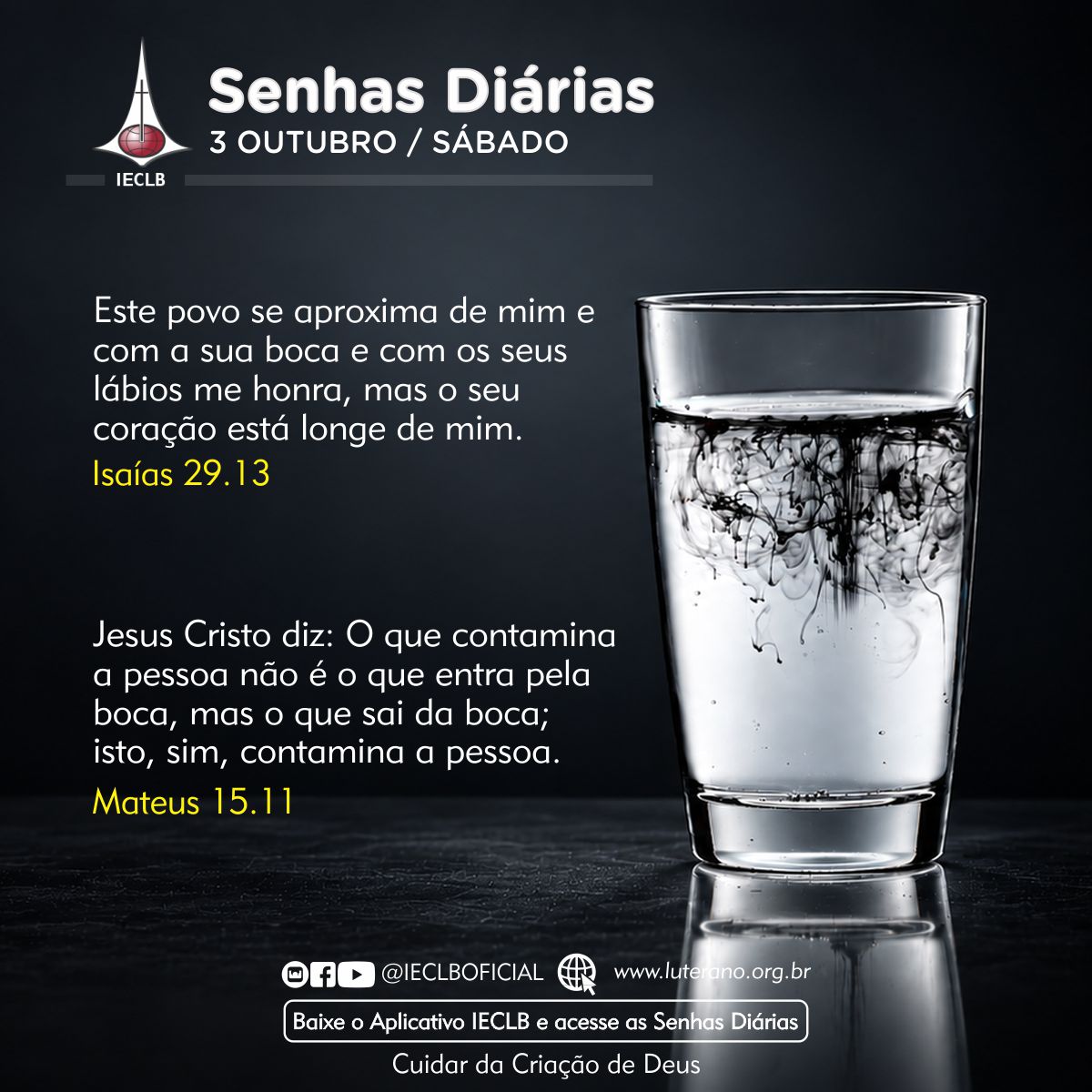 Senhas Diárias 03 10 2026