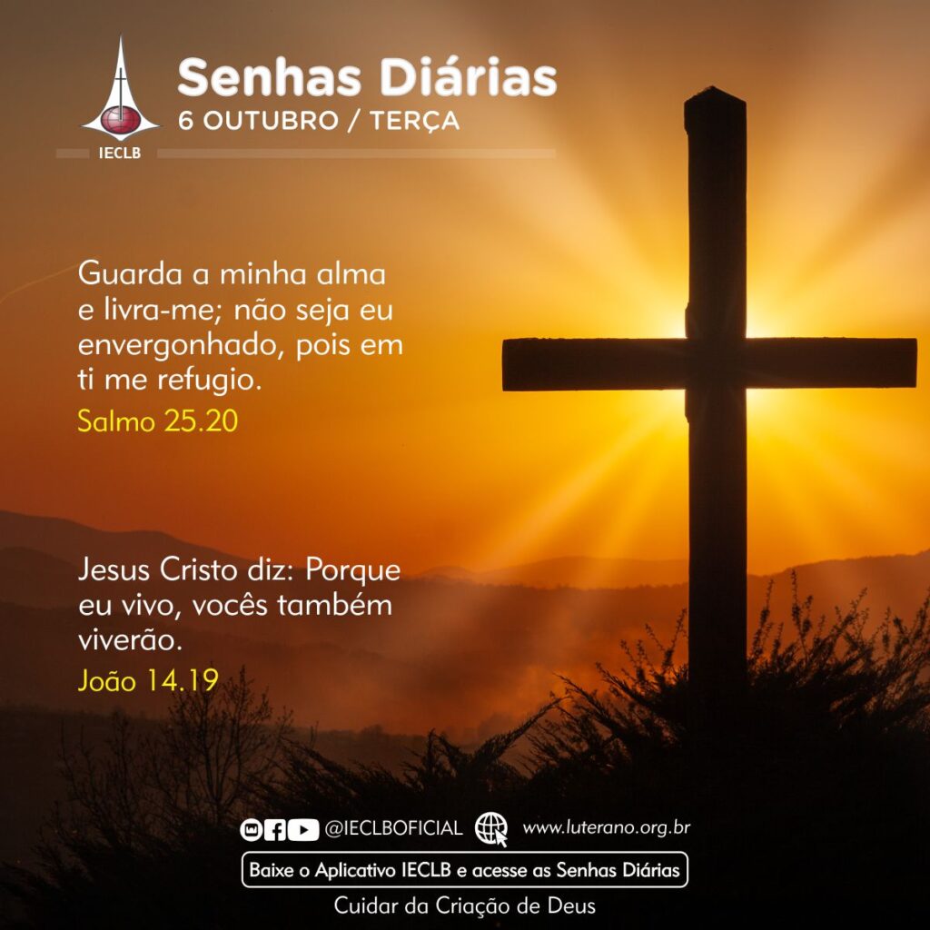 Senhas Diárias 06 10 2026