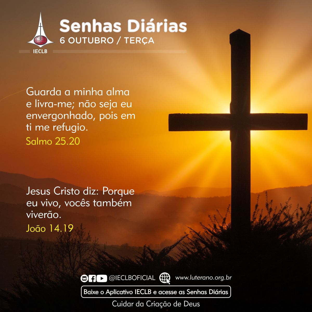 Senhas Diárias 06 10 2026