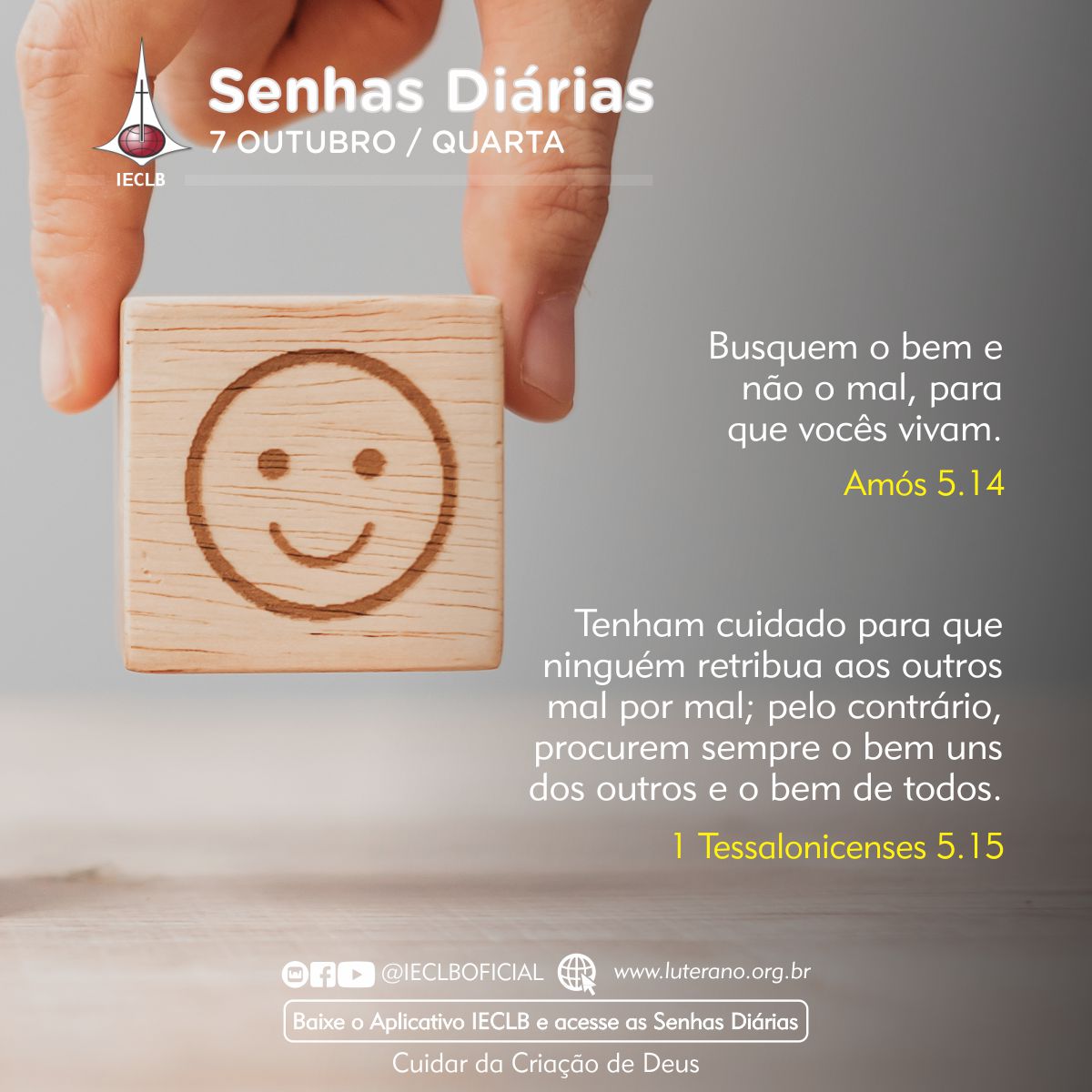 Senhas Diárias 07 10 2026