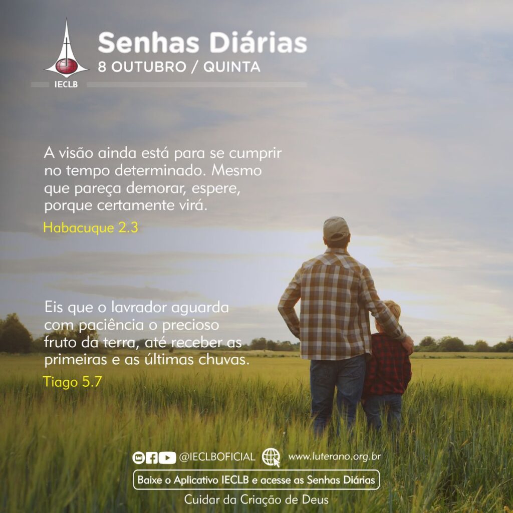 Senhas Diárias 08 10 2026