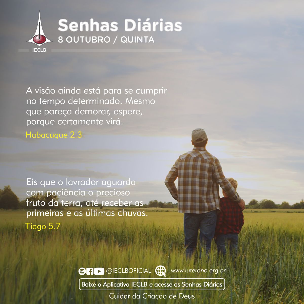 Senhas Diárias 08 10 2026