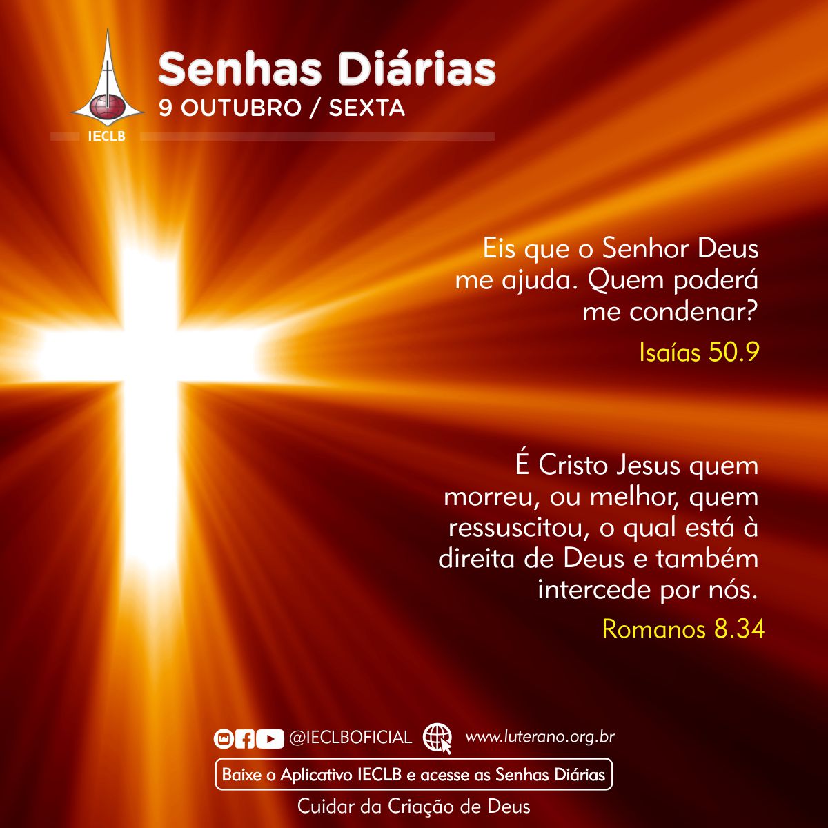 Senhas Diárias 09 10 2026