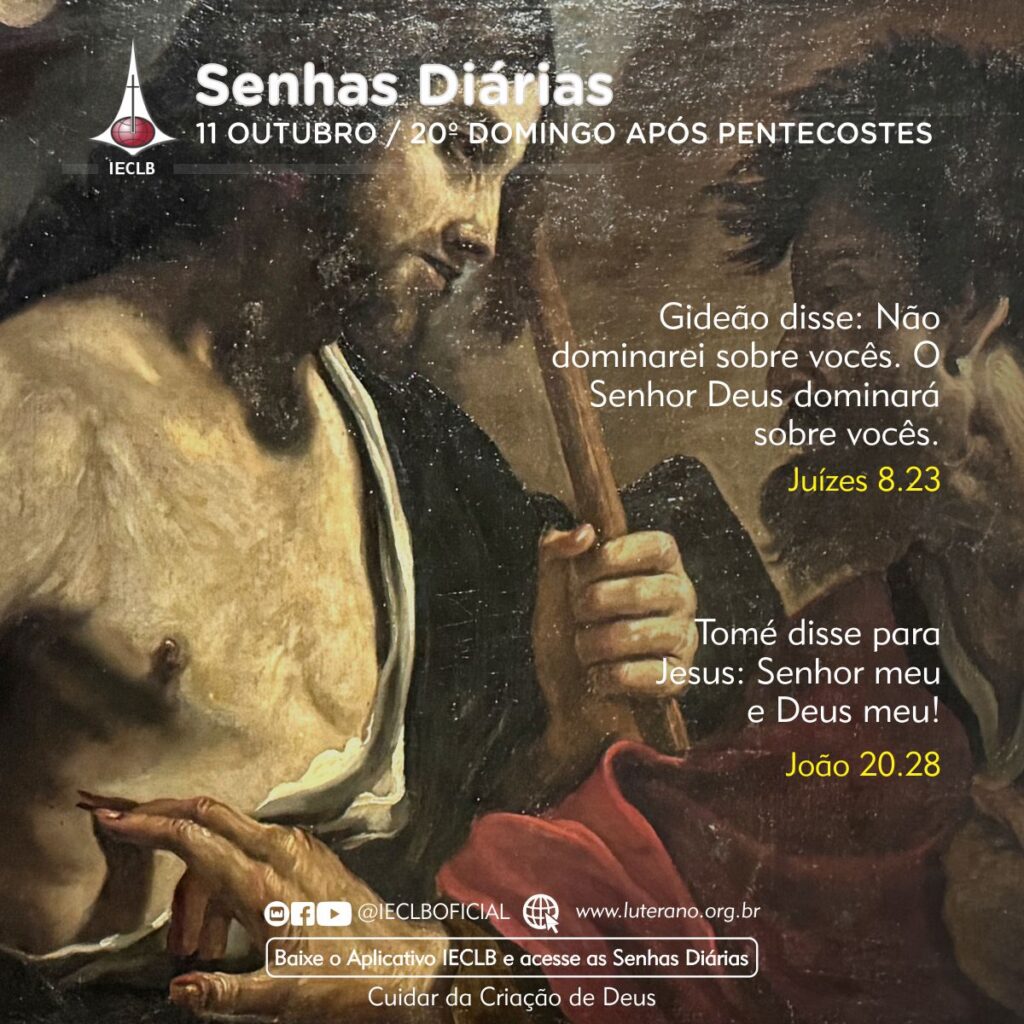 Senhas Diárias 11 10 2026