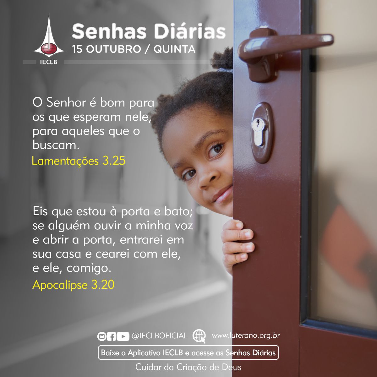 Senhas Diárias 15 10 2026