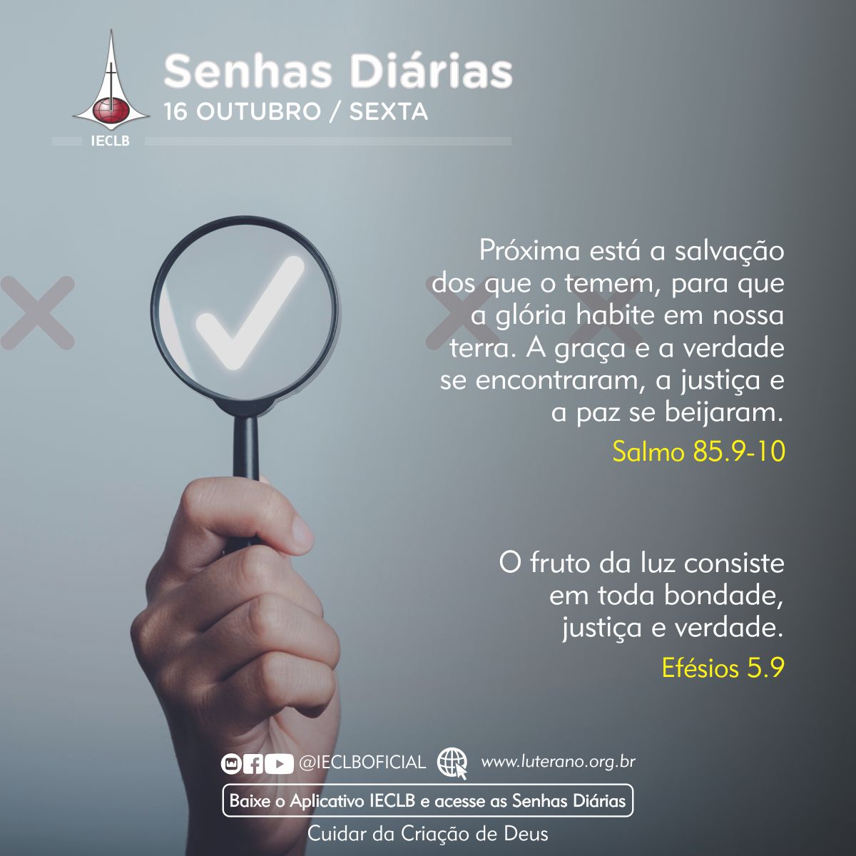 Senhas Diárias 16 10 2026