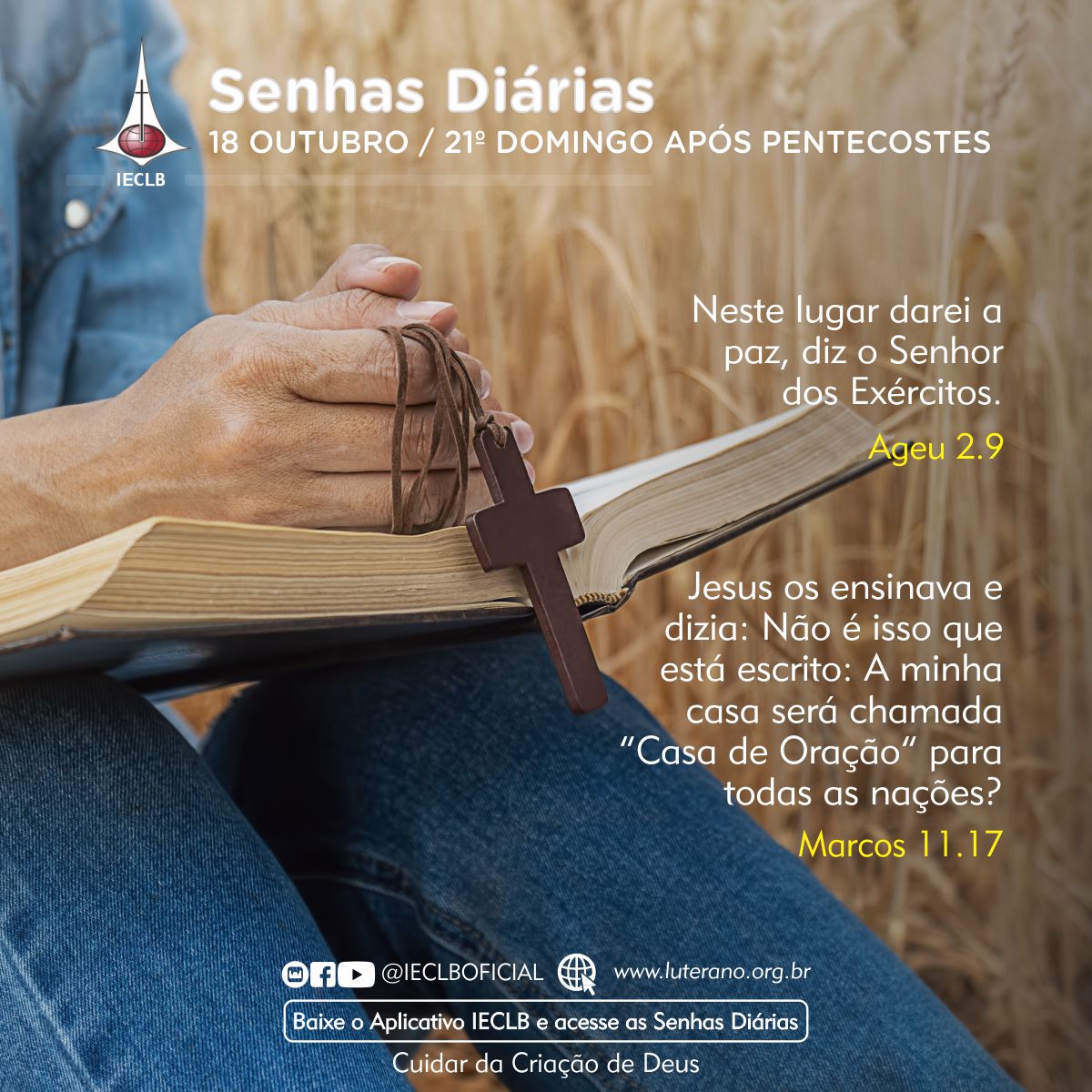 Senhas Diárias 18 10 2026