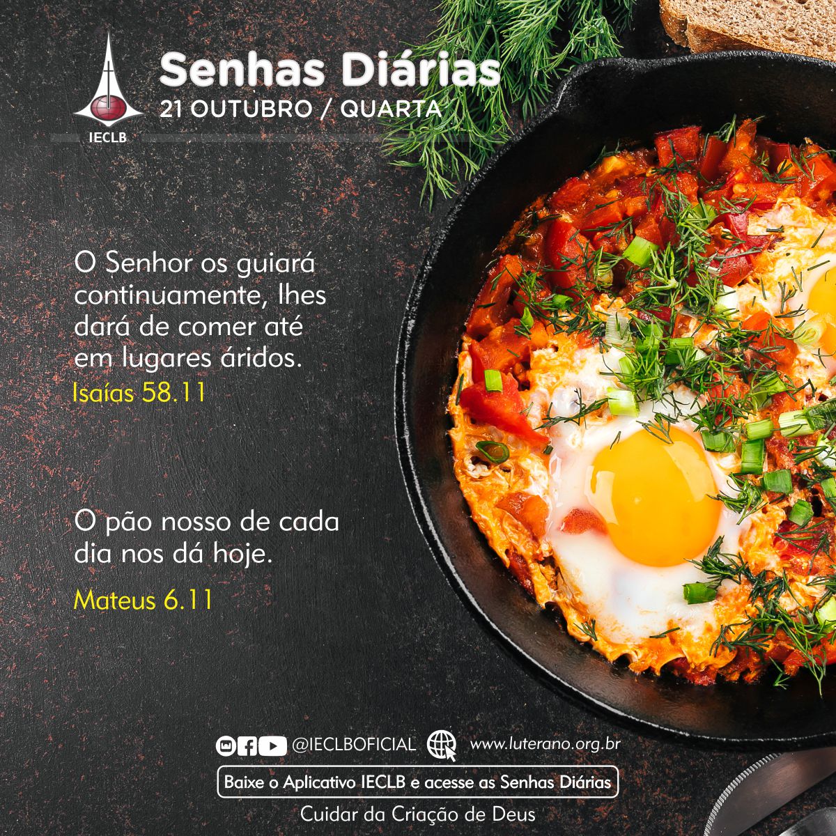 Senhas Diárias 21 10 2026