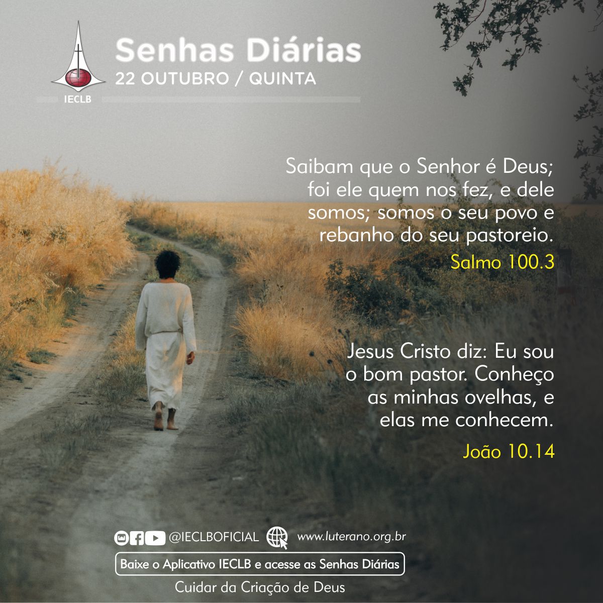 Senhas Diárias 22 10 2026
