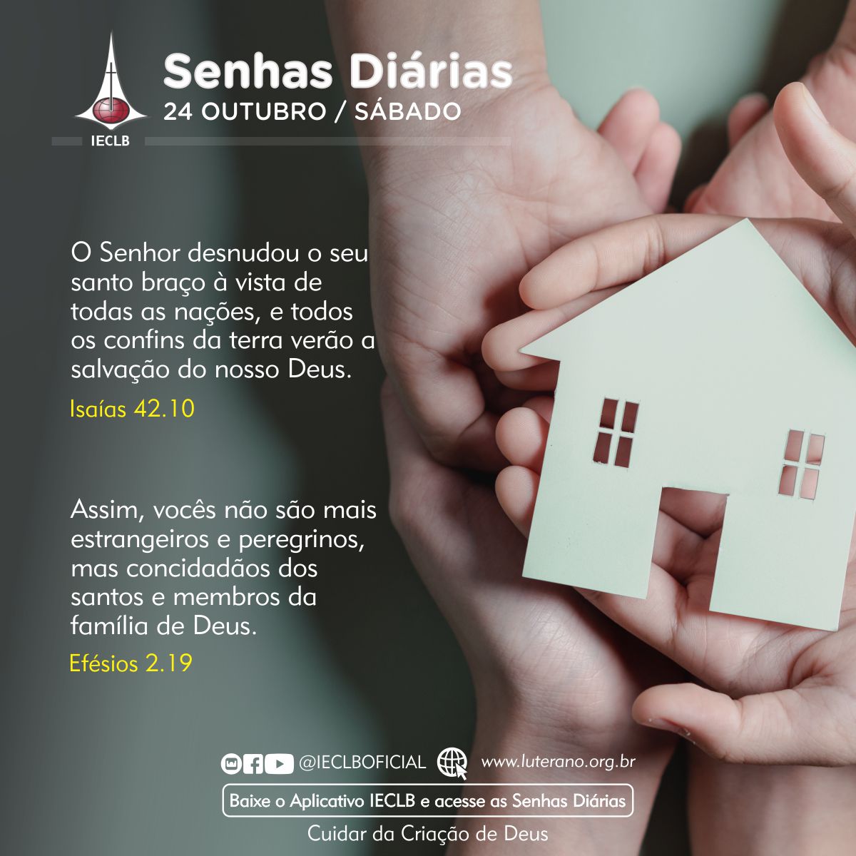 Senhas Diárias 24 10 2026