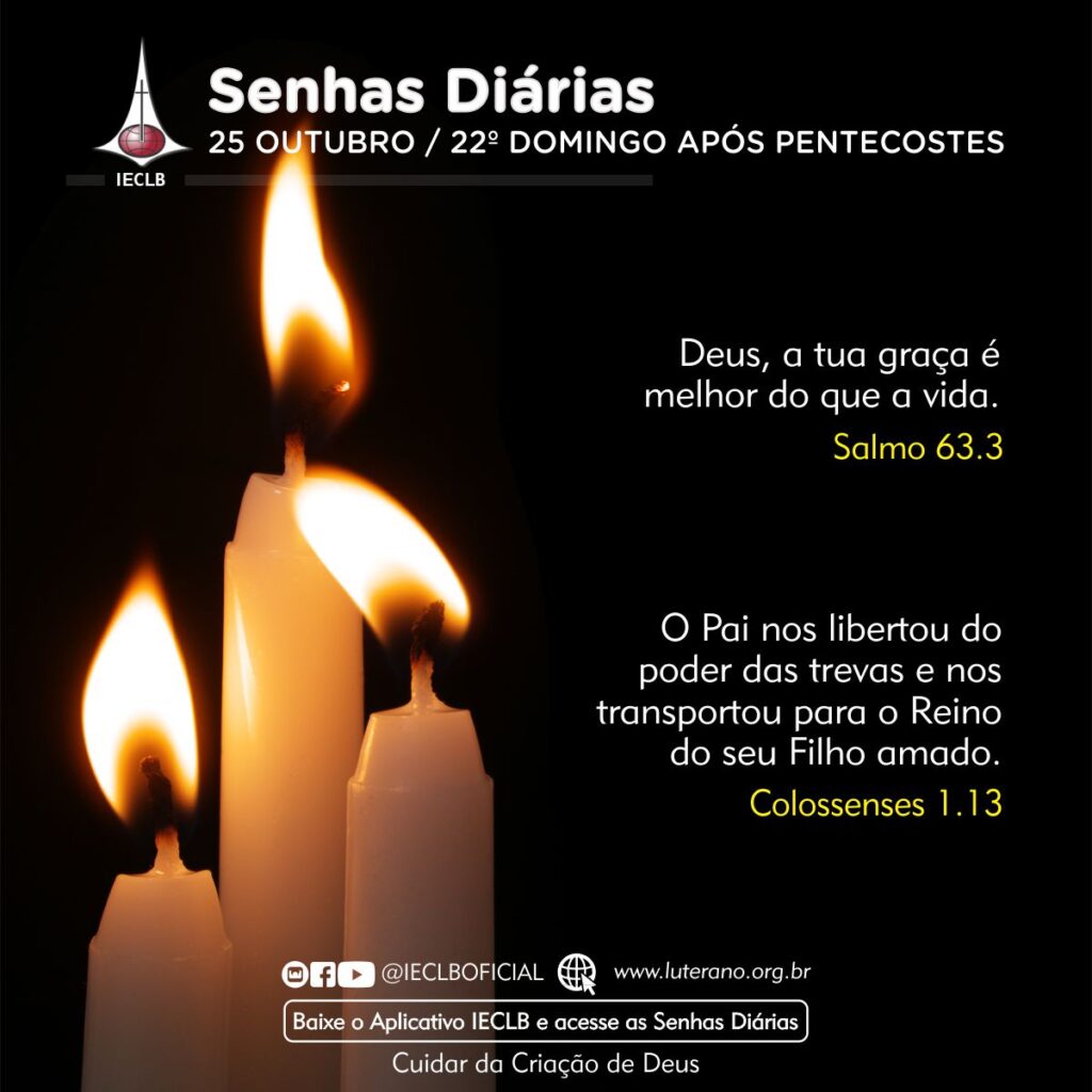 Senhas Diárias 25 10 2026