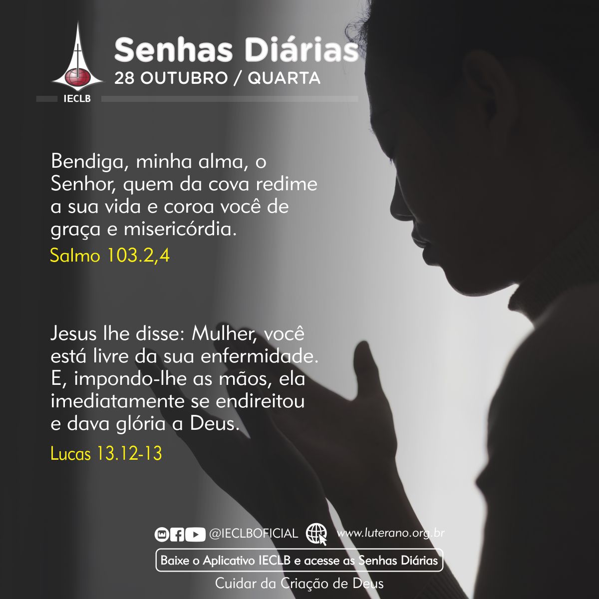 Senhas Diárias 28 10 2026