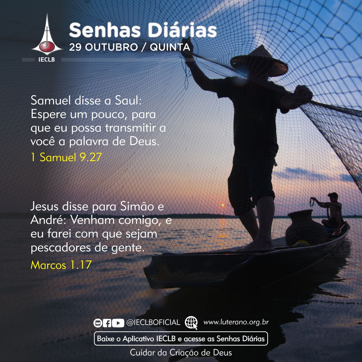 Senhas Diárias 29 10 2026