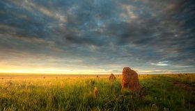 01 09 - Parque Nacional das Emas cerrado com cupim