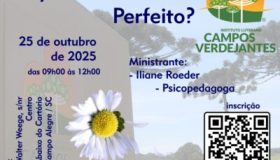 20251025-O que é ser Perfeito-face-r-v2