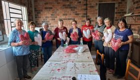 Almofadas do coração (1)