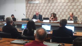 Audiência pública senado - pastor Rudolf von Sinner