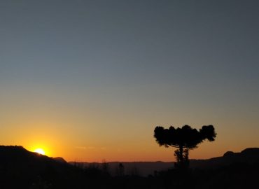 Foto meditação tempo de renovar e florescer