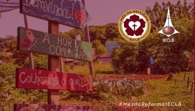 Horta comunitária, sustentabilidade ambiental e teologia luteranal