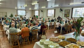 Ivoti - Chá da Oase (3)