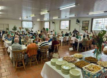 Ivoti - Chá da Oase (3)