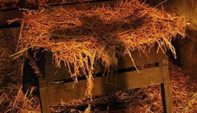 Meditação Manjedoura