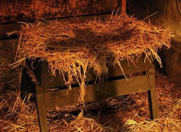 Meditação Manjedoura