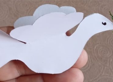 MeditacaoSemana (1)