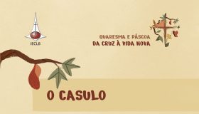 Meditações quaresma - o casulo